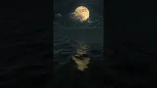 Night sky relaxing status 😇
