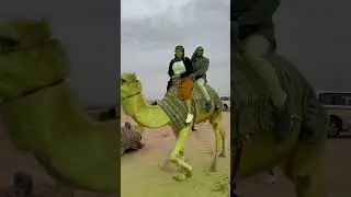 Camel riding in Arabian Desert in Dubai 🤎 #travel #dubai #camel