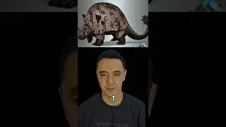Дедикур бронированный танк #дедикур #животные #динозавры #мир