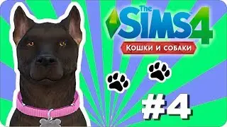 The Sims 4 100 Let's Play Cats & Dogs | Кошки и собаки # 4 - Маяк