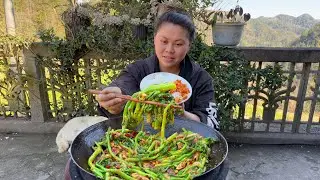 今天摘了很多白菜苔做个美味下饭菜 picked a lot of cabbage moss today