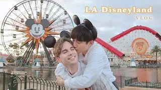 [Диснейленд Vlog] отпраздновать день рождения моего парня и нашу годовщину 🎡  Калифорнию