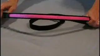 Lighted Dog Leash