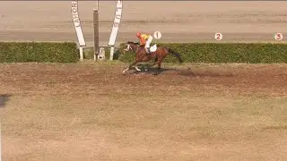 3rd Race The Class VII Distance 1100 Meters Winner Rahaf ( Pakistan Horse Racing ) Safdar Ali 