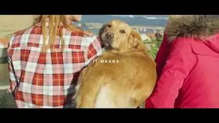 Barbour Dogs OI18