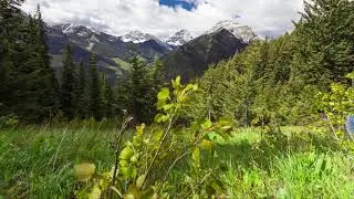 Mount Wapiti, Elkford - BC, Canada