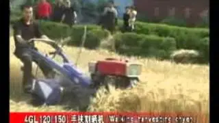 4GL120 4GL150收割小麦 0003