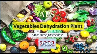 vegetable dry process , Vegetable dehydration plant , vegetable dry processing plant