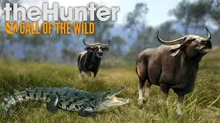 CAÇANDO CROCODILOS e BANTENGUES NA PRAIA - The Hunter Call Of The Wild