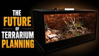 Build Your Reptile Enclosure Before You Buy It!