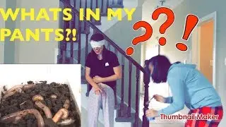 I PUT A WORM IN HER PANTS!?  (DT VERSION)