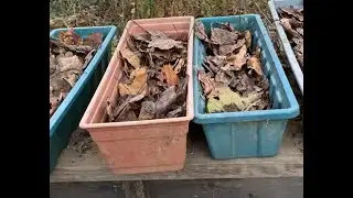 Sowing Winter Seeds