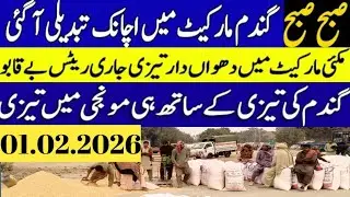 Today Wheat price in punjab//2026/munji makki till sarso/Galla mandi rate today // 01.02.2026