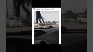 Their is an invasion on Earth! Very funny meme #Shorts