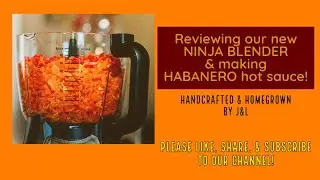 Reviewing our new NINJA BLENDER & making HABANERO hot sauce!
