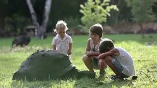 Hey Kids! Check out these Amazing and Fun Turtle and Tortoise Facts