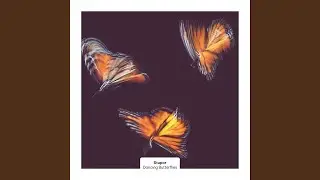 Dancing Butterflies