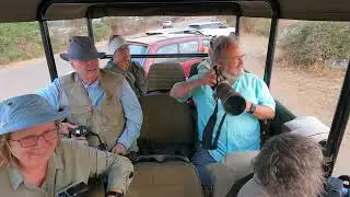 Safari photo dans le Parc National Kruger en Afrique du Sud (premier groupe 2024)