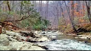 National Parks and Waterfalls! Prince William Forest Park Virginia, Bike Trails, Nature and Hiking!