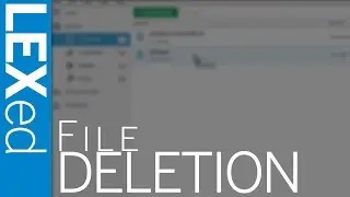 LEXed: File Deletion