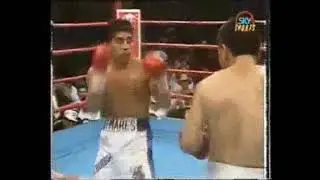 Julio Cesar Borboa vs Robert Quiroga boxing highlights