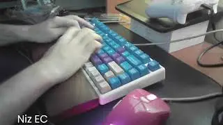 Keyboard comparison Royal kludge Niz plum micro84 RK Browns Akko penguin Niz EC