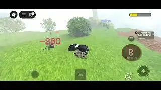 Spider Clan | First 3 Jumping Spider