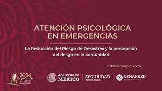 Curso: Atención psicológica en emergencias, Tema 2
