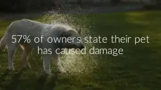 Pets in Rentals