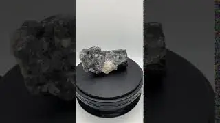 Black Tourmaline in Fluorite Erongo Mountains #001a $350 USD Link in description