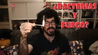 Las bacterias que inventaron el fuego