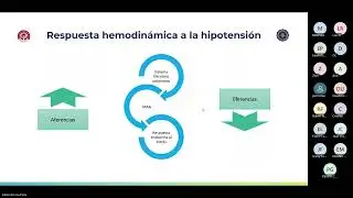 VASOPRESORES E INOTROPICOS