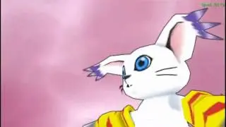 Digimon Adventure Ophanimon - Tailmon - warp digivolve