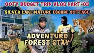 Silver Lake Nature Escape cottage #foreststay #avalanche #ooty  | Ooty Trip Vlog Part 5 @yoro_vlogs