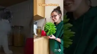 HALO!? NIE MOŻNA PS&Oacute;Ć CO JEST JUŻ POPSUTE! #shorts #funny