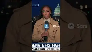 Speaker tells Schumer to shove it AI  generated