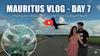 День 7 Маврикий 🇲🇺 Морская прогулка #маврикий #морскаяпрогулка