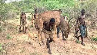 Inside Hadzabe Tribe &ndash; Wilderness Survival and Classic Tracking of Prey