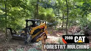 Forestry Mulching l 1 Acre Wooded Lot 