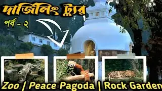 Darjeeling Full Day Trip | Zoo, Peace Pagoda & Rock Garden | পাহাড়ের সৌন্দর্য একদিনে