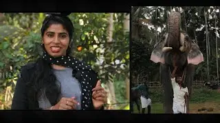 ഒരുപാട് കാത്തിരിപ്പിന് ശേഷം കൈയിൽ കിട്ടിയ  നിധി (അയിനി കുളങ്ങര മഹാദേവൻ...) ഉടമ മോഹനൻ ചേട്ടൻEPISODE:1