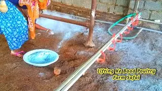 Farm Ko Naye Batch Ke Liye Ready Kaise Kare? | Busha & Chuna Process Step by Step | Muna Hafsa 