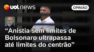 Projeto de anistia do PL mostra que aliados de Bolsonaro ultrapassam at&eacute; limites do centr&atilde;o | Josias