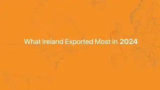 What did Ireland export most in 2024?