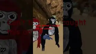Is this real??? #gorillatag