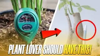 Gadgets every plant lover should have!