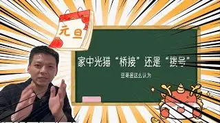 家中光猫“桥接”还是“拨号” 豆哥这么认为