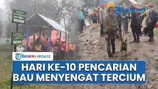 Hari ke-10 Pencarian Pendaki Hilang di Mongkrang, Tim SAR Cium Bau Menyengat di Pos 3 Tapak Nogo