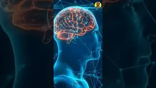 amazing facts| interesting facts|daily breath|octopus heart|honey forever #manabasha