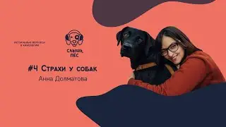 Слышь, пёс #4 Страхи, Анна Долматова